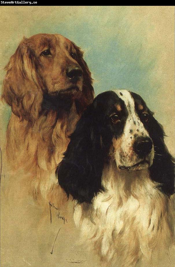 John emms English Springer Spaniels at Rest